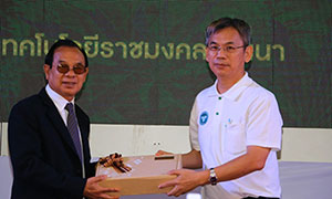 มทร.ล้านนา ร่วมกับสมาคมศิษย์เก่าจัดเสวนาการเข้าถึงการใช้ประโยชน์จากกัญชาด้านการแพทย์และด้านเศรษฐกิจ ในงาน RMUTCON 2019