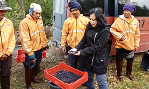 รองปลัด ก.แรงงาน พร้อมอธิบดี กกจ.เยี่ยมคนงานเก็บผลไม้ป่าที่ฟินแลนด์ ย้ำ ! ดูแลรักษาผลประโยชน์คนงานไทย