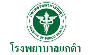 โรงพยาบาลแกดำ รับสมัครลูกจ้างชั่วคราว จำนวน 6 อัตรา ตั้งแต่บัดนี้ถึง 20 ก.พ. 63