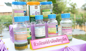 คณะผู้บริหาร มทร.ล้านนา ถวายรายงานผลการสนองงานพระราชดำริ สมเด็จพระกนิษฐาธิราชเจ้า กรมสมเด็จพระเทพรัตนราชสุดาฯ ประจำปี 2562