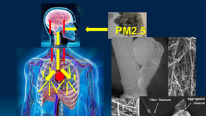 ผลกระทบต่อชีวิตและสุขภาพจากมลพิษฝุ่นจิ๋ว PM2.5 และข้อปฏิบัติตัวที่สำคัญ