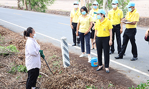 ก.แรงงาน ร่วมกับศูนย์อำนวยการใหญ่จิตอาสาพระราชทาน จ้างงานโครงการฟาร์มตัวอย่าง สร้างงาน สร้างอาชีพ ประชาชนมีรายได้ ต้านภัยโควิด - 19