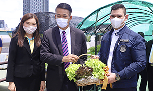 ก.แรงงาน เทรนแรงงานทำเกษตรในเขตชุมชนเมือง กู้วิกฤติโควิด-19