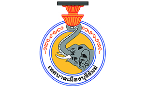 เทศบาลเมืองบุรีรัมย์ รับพนักงานจ้าง จำนวน 11 อัตรา สมัครตั้งแต่ถึงวันที่ 1 - 10 กุมภาพันธ์ 2564