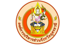 องค์การบริหารส่วนจังหวัดอุดรธานี รับพนักงานจ้าง จำนวน 25 อัตรา สมัครตั้งแต่บัดนี้ถึงวันที่ 31 พฤษภาคม 2564
