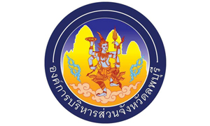 องค์การบริหารส่วนจังหวัดลพบุรี รับพนักงานจ้าง จำนวน 63 อัตรา สมัครตั้งแต่วันที่ 6 - 17 กันยายน 2564