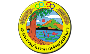 องค์การบริหารส่วนจังหวัดพิจิตร รับสมัครบุคคลเป็นพนักงานจ้างตามภารกิจ จำนวน 11 อัตรา สมัครตั้งแต่วันที่ 24 มกราคม - 2 กุมภาพันธ์ 2565