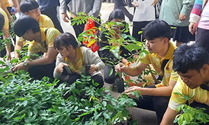 ราชมงคลสุวรรณภูมิ จัดกิจกรรมจิตอาสา ‘ต้นไม้ล้านต้น ล้านความดี’ ปลูกต้นไม้เพื่อสิ่งแวดล้อม"