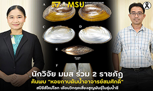 นักวิจัย มมส ร่วม 2 ราชภัฏ ค้นพบ &ldquo;หอยกาบต้นน้ำอาจารย์สมศักดิ์&rdquo; สปีชีส์ใหม่โลก เตือนวิกฤตเสี่ยงสูญพันธุ์ในลุ่มน้ำชี